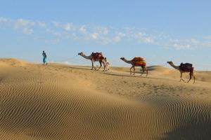 Sam Sand Dunes