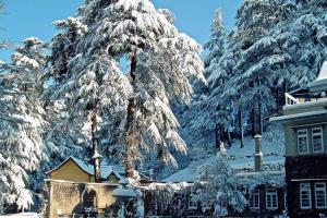 Shimla