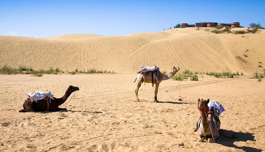 Osian Desert Landscape – Cultural Experience